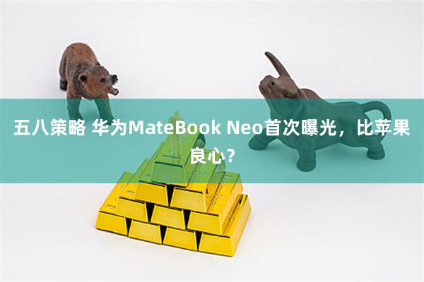 五八策略 华为MateBook Neo首次曝光，比苹果良心？