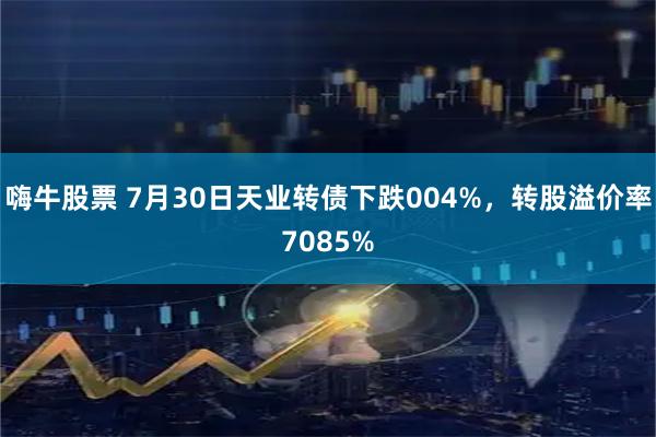 嗨牛股票 7月30日天业转债下跌004%，转股溢价率7085%