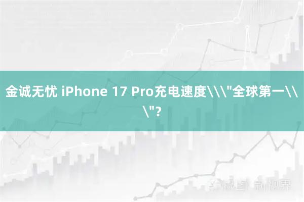 金诚无忧 iPhone 17 Pro充电速度\