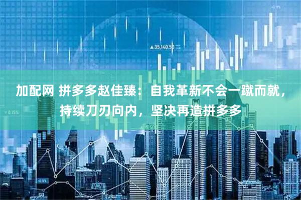 加配网 拼多多赵佳臻：自我革新不会一蹴而就，持续刀刃向内，坚决再造拼多多
